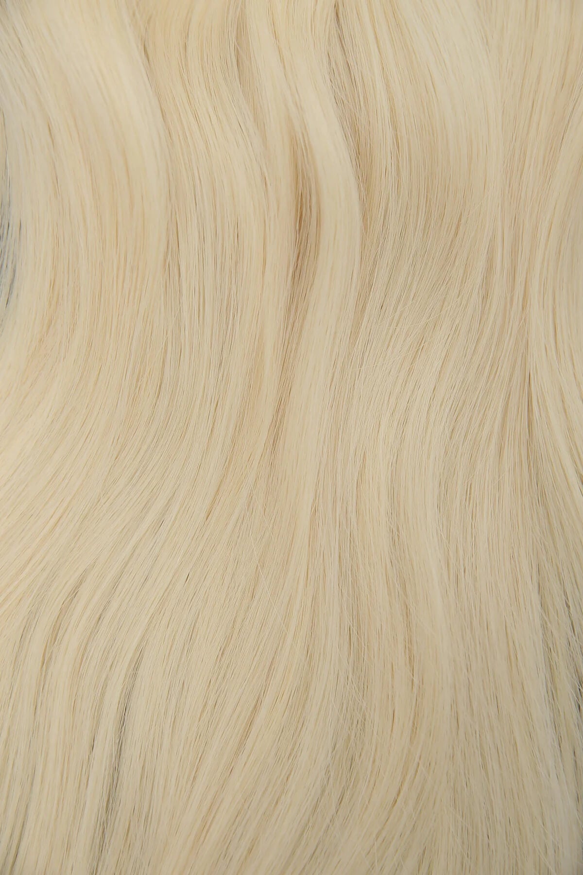 #color_the_bleach_blonde